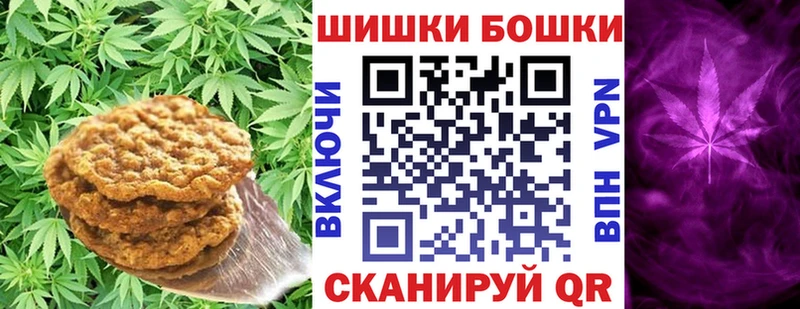 Купить где  Гусев  Cannafood конопля 