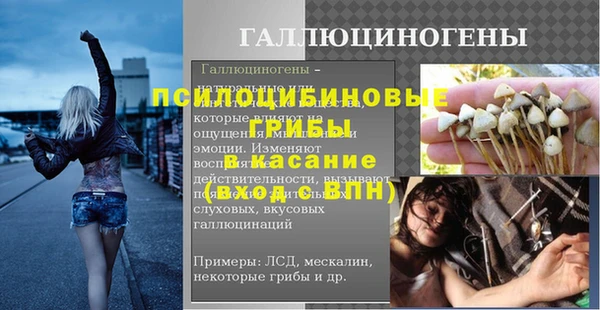 стаф Заволжье