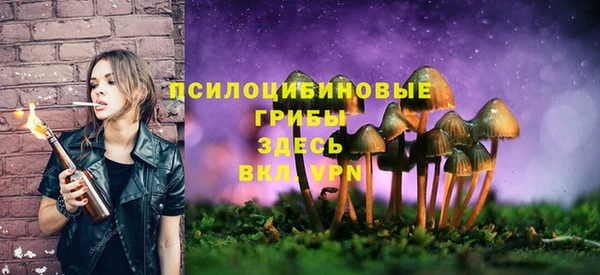 круглые Заволжск