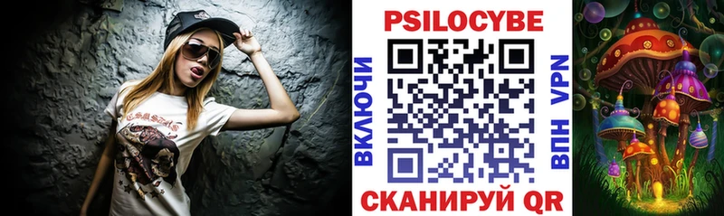Псилоцибиновые грибы прущие грибы Купить закладки Гусев