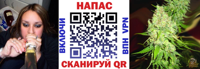 Канабис семена Гусев
